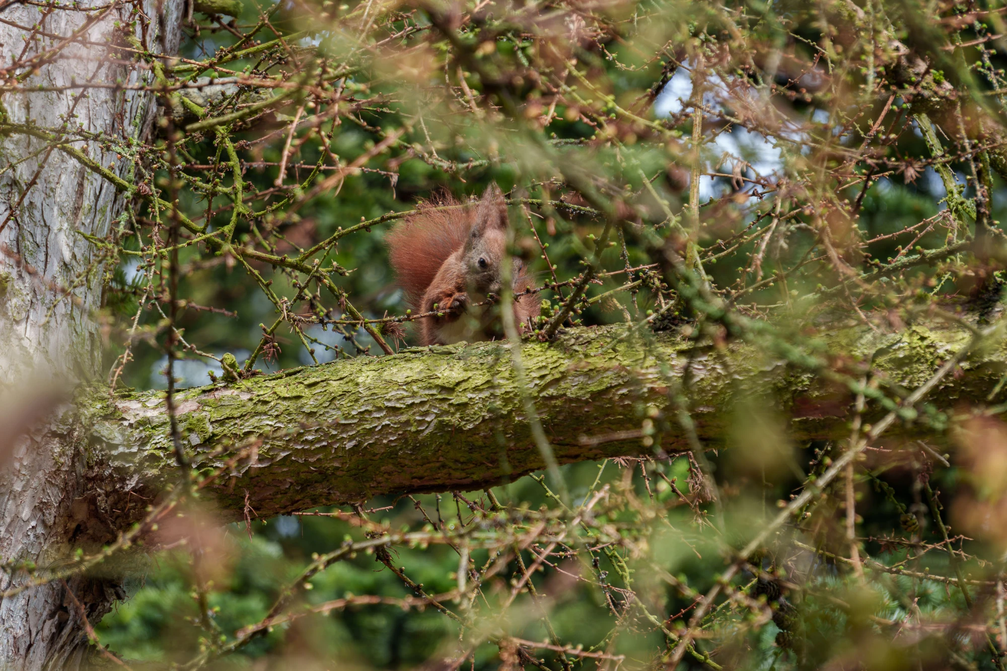 pixelgraphix-manuela-hoffmann-2026-april-01-58