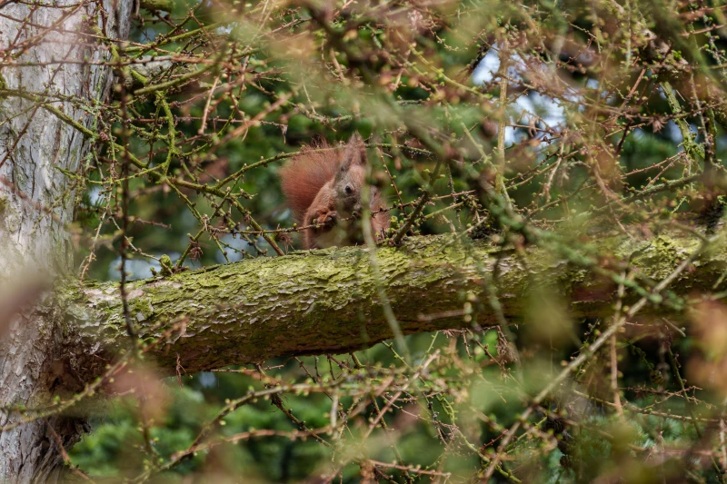 pixelgraphix-manuela-hoffmann-2026-april-01-58