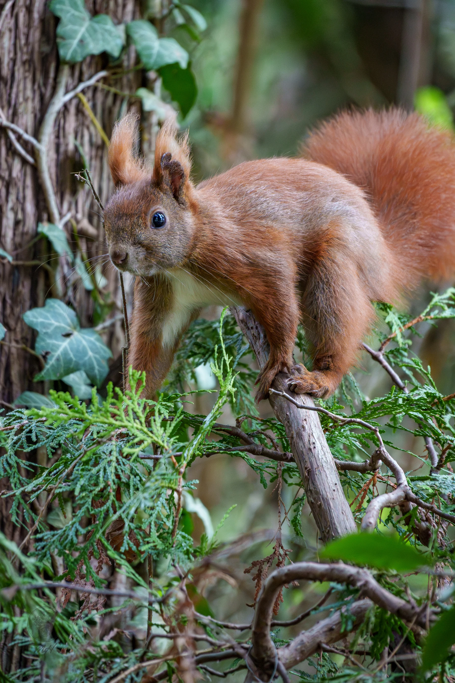 pixelgraphix-manuela-hoffmann-2026-april-07-22