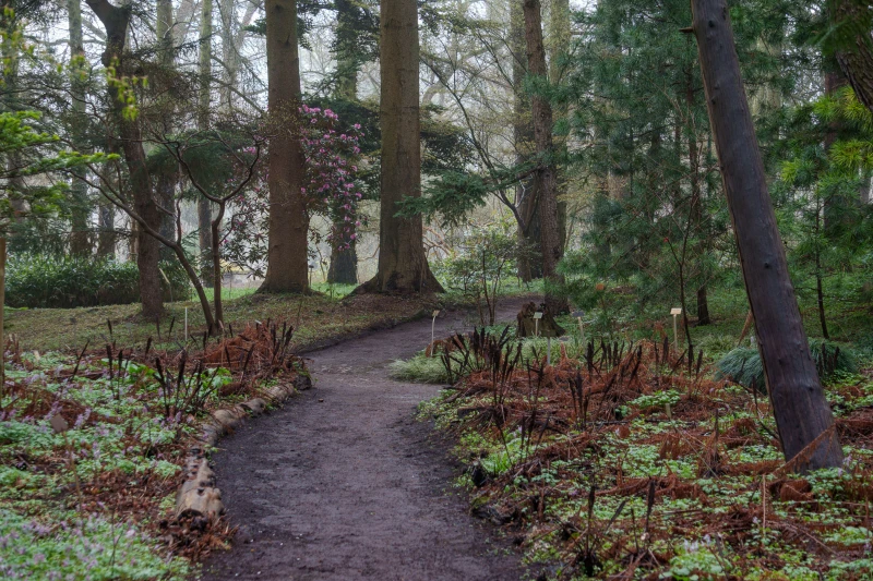 pixelgraphix-manuela-hoffmann-2026-april-01-27