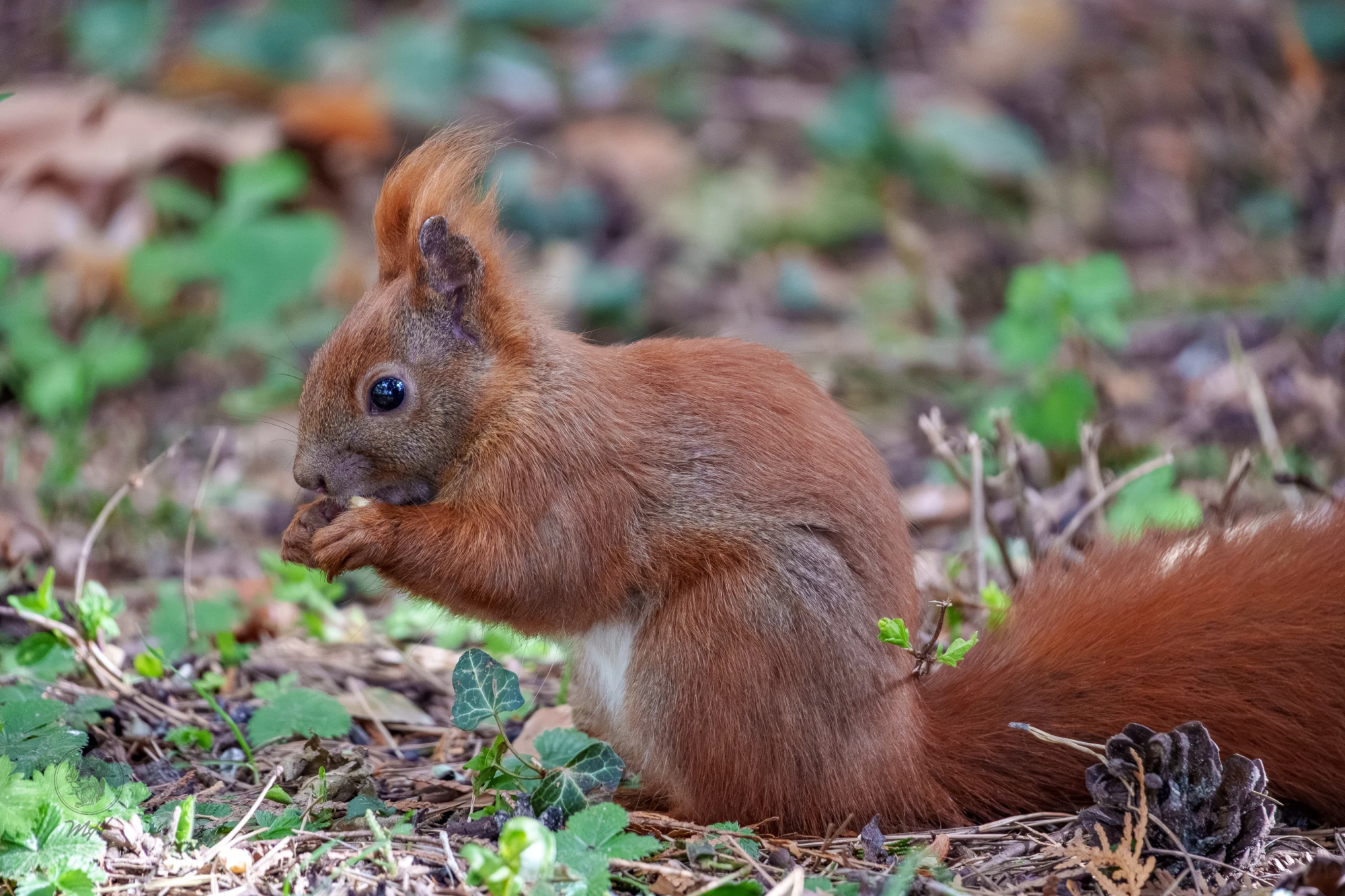 pixelgraphix-manuela-hoffmann-2026-april-07-09