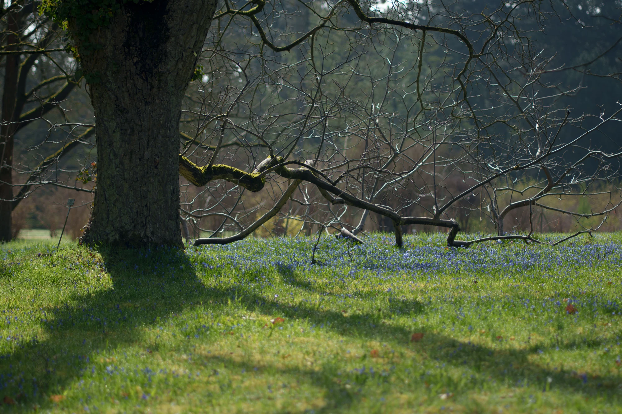 pixelgraphix-manuela-hoffmann-2026-april-01-31-2