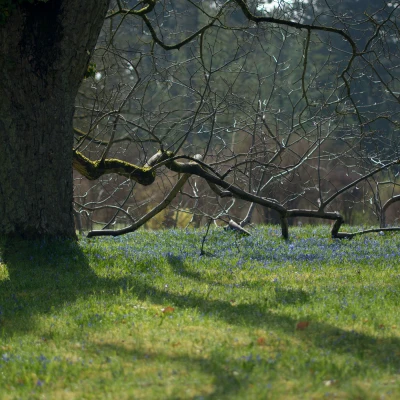 pixelgraphix-manuela-hoffmann-2026-april-01-31-2