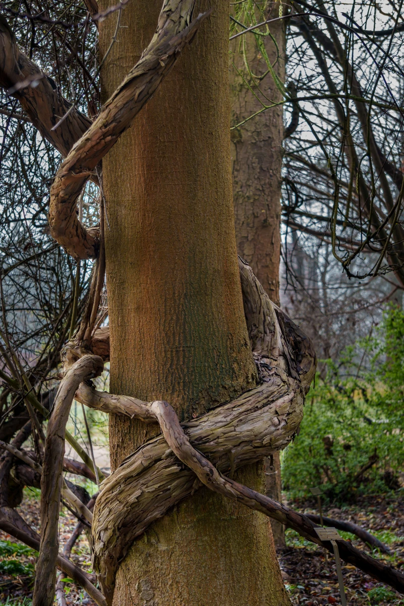 pixelgraphix-manuela-hoffmann-2026-april-01-36