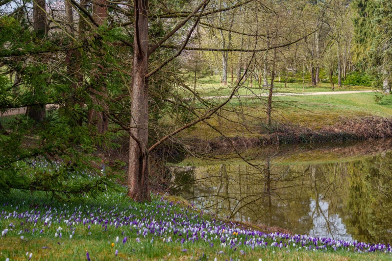 pixelgraphix-manuela-hoffmann-2026-april-01-52