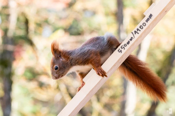 pixelgraphix-manuela-hoffmann-2025-april-01-28-2