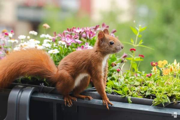 pixelgraphix-manuela-hoffmann-2025-juli-16-35