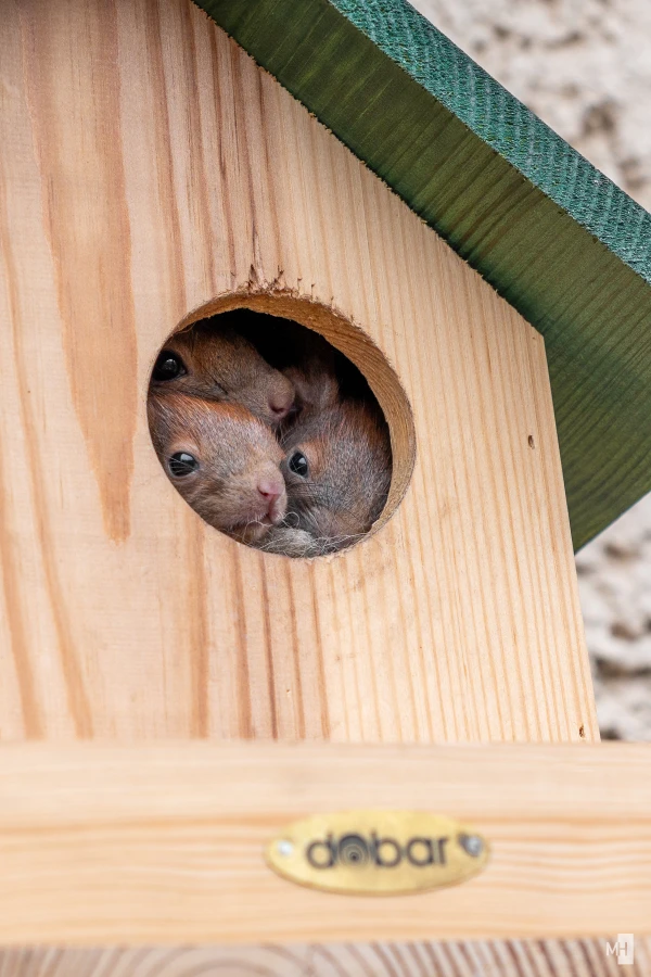 pixelgraphix-manuela-hoffmann-2025-marz-30-35