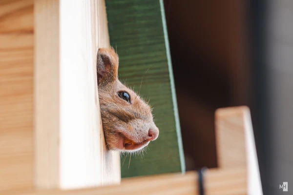 pixelgraphix-manuela-hoffmann-2025-april-15-56