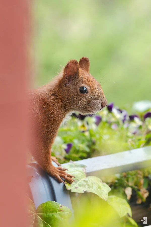 pixelgraphix-manuela-hoffmann-2025-juli-16-38