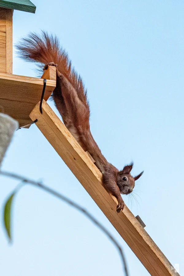 pixelgraphix-manuela-hoffmann-2025-september-30-18-2