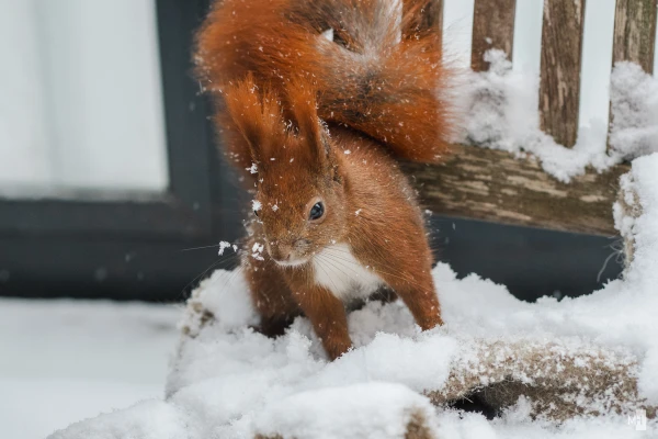 pixelgraphix-manuela-hoffmann-2025-februar-13-55