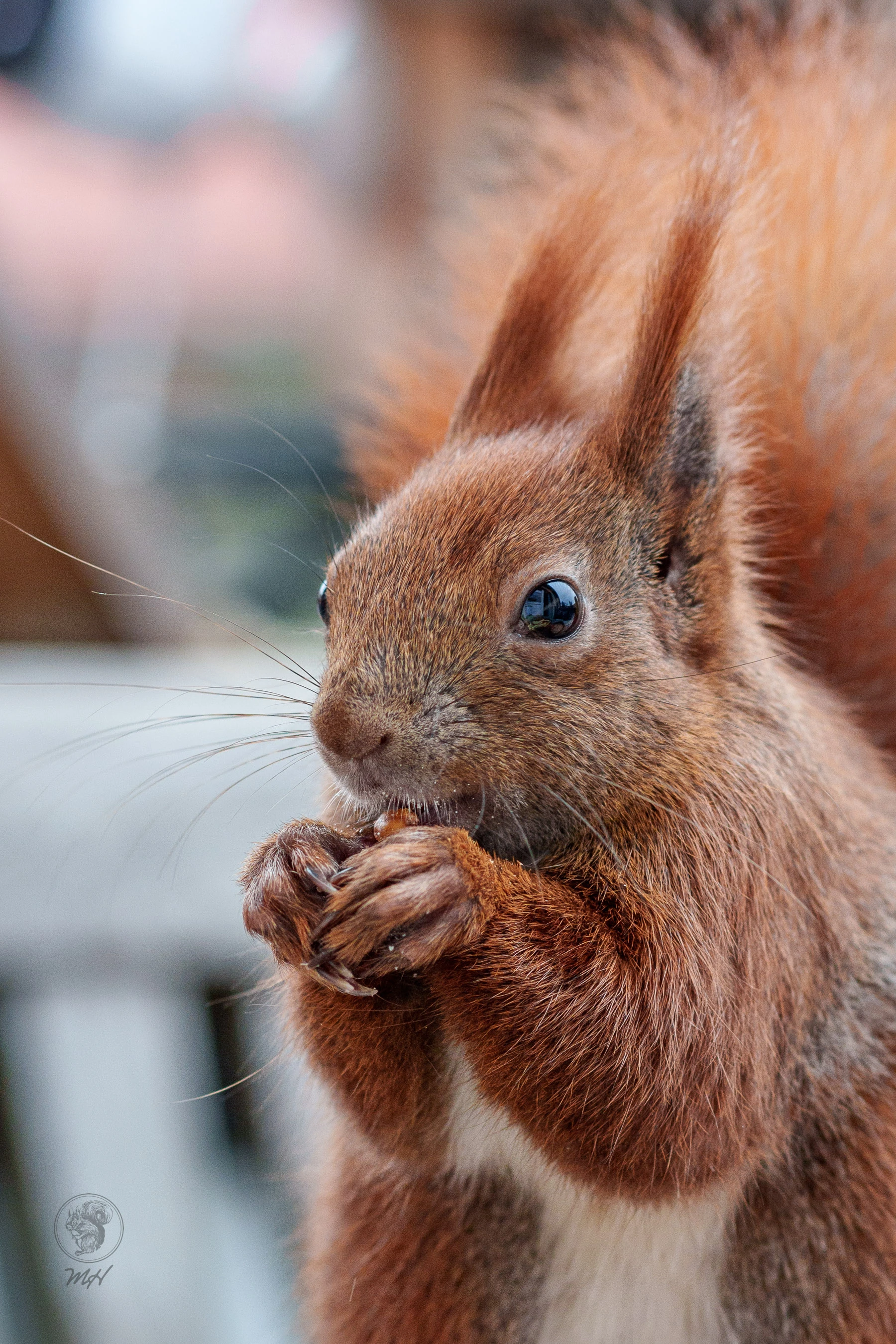 pixelgraphix-manuela-hoffmann-2026-februar-09-18