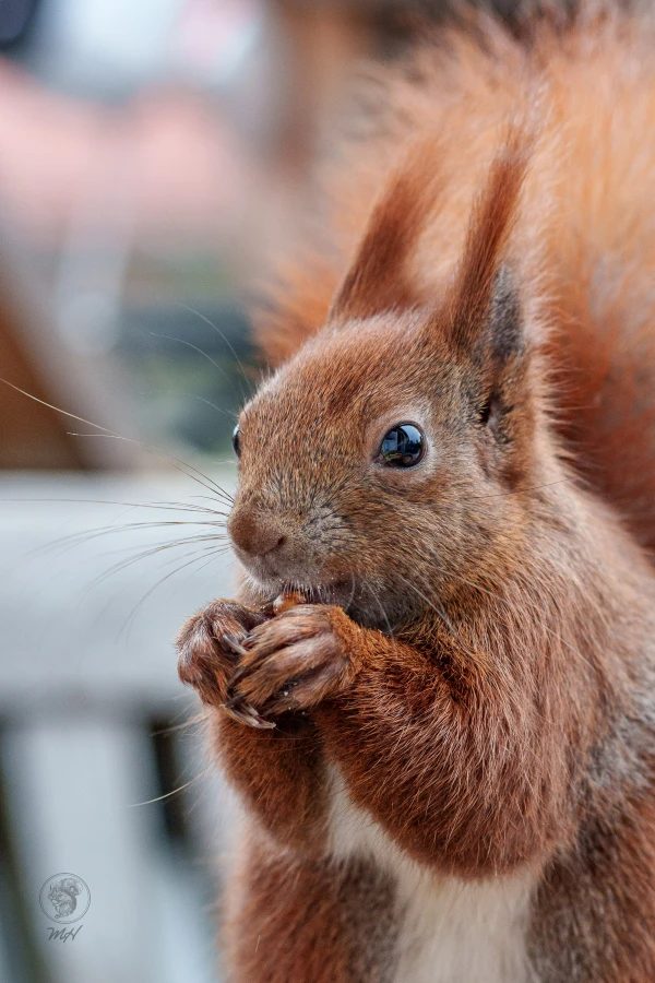 pixelgraphix-manuela-hoffmann-2026-februar-09-18