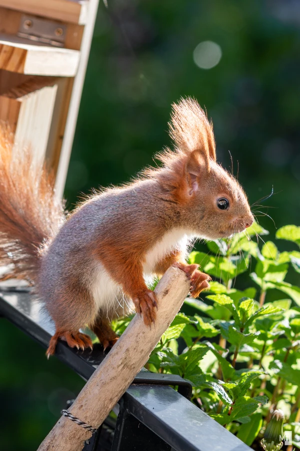 pixelgraphix-manuela-hoffmann-2025-april-28-11