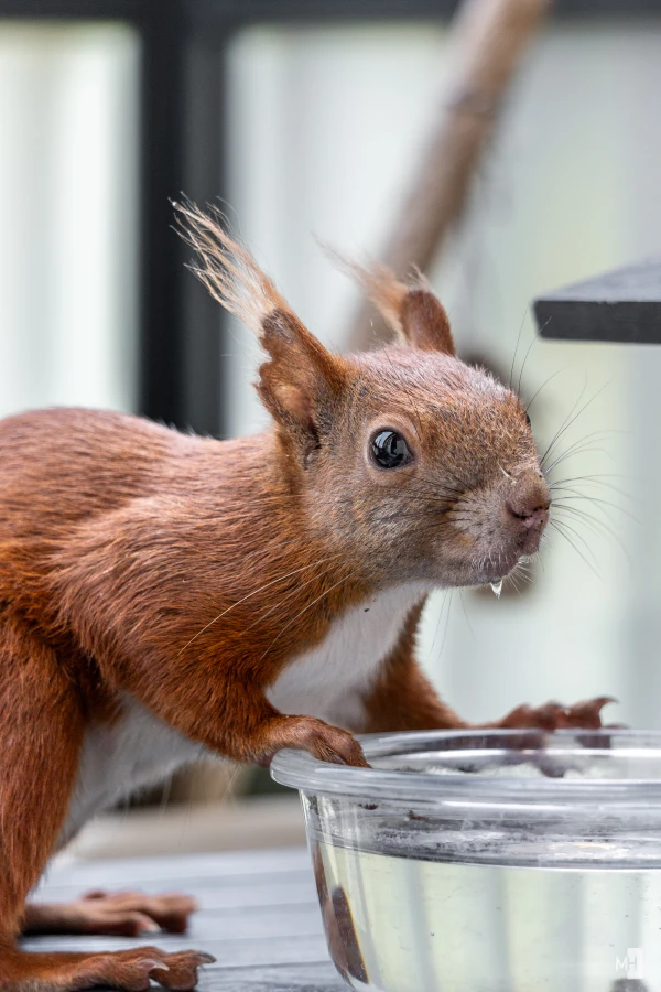 pixelgraphix-manuela-hoffmann-2025-juni-20-49