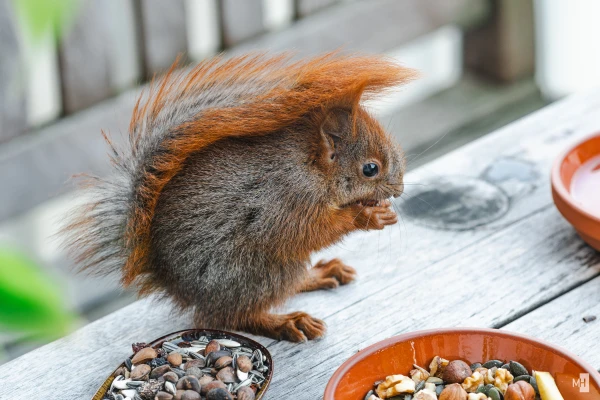 pixelgraphix-manuela-hoffmann-2025-april-24-00-2