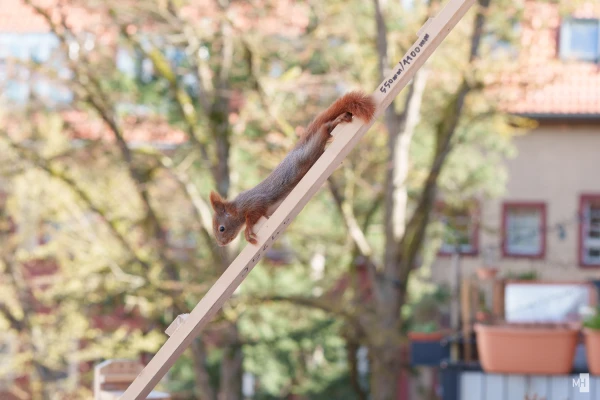 pixelgraphix-manuela-hoffmann-2025-april-01-50