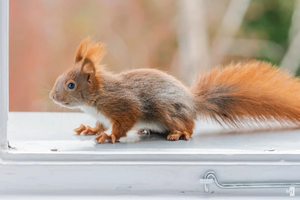 pixelgraphix-manuela-hoffmann-2025-april-07-48