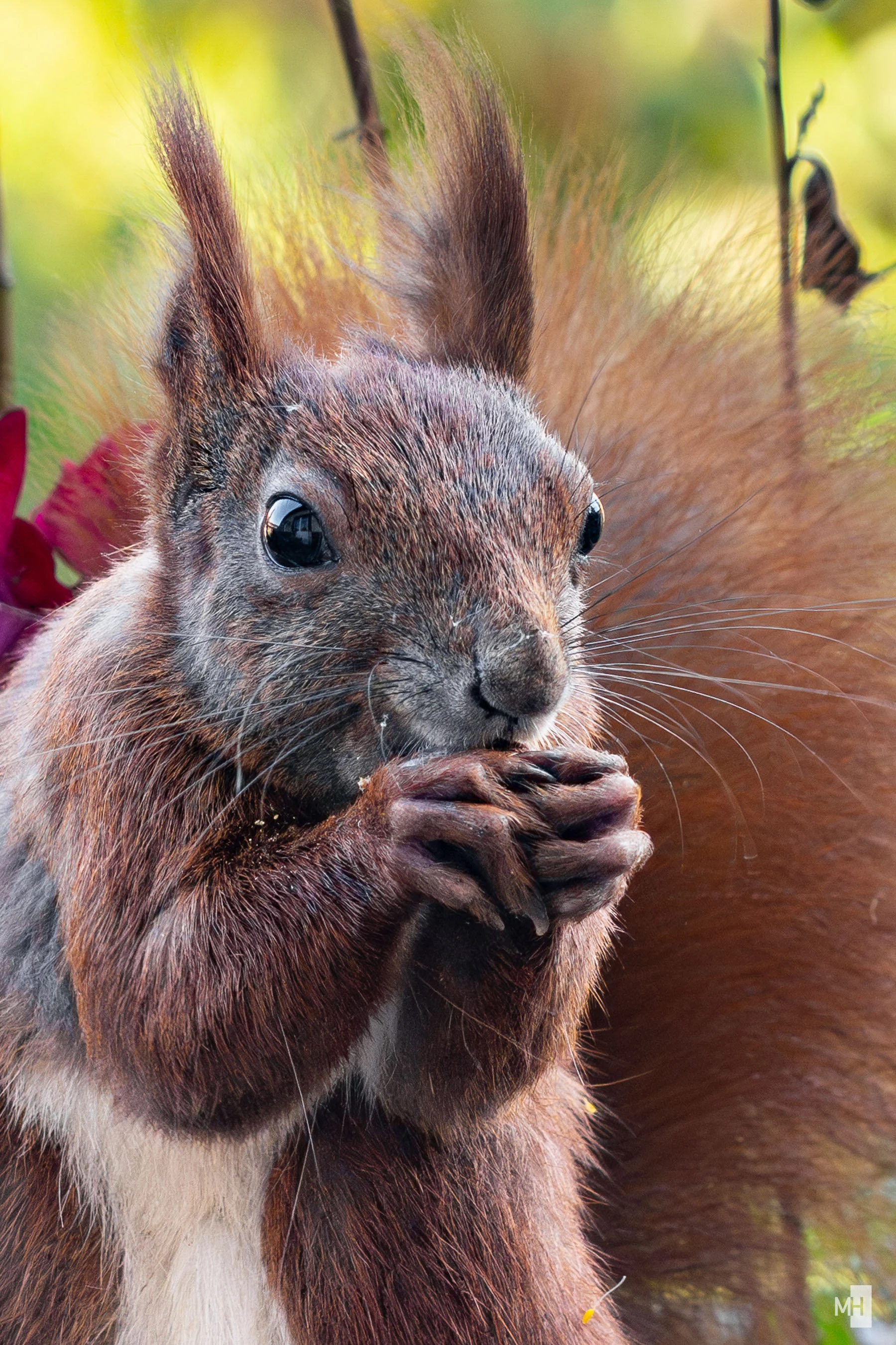 pixelgraphix-manuela-hoffmann-2025-oktober-13-56