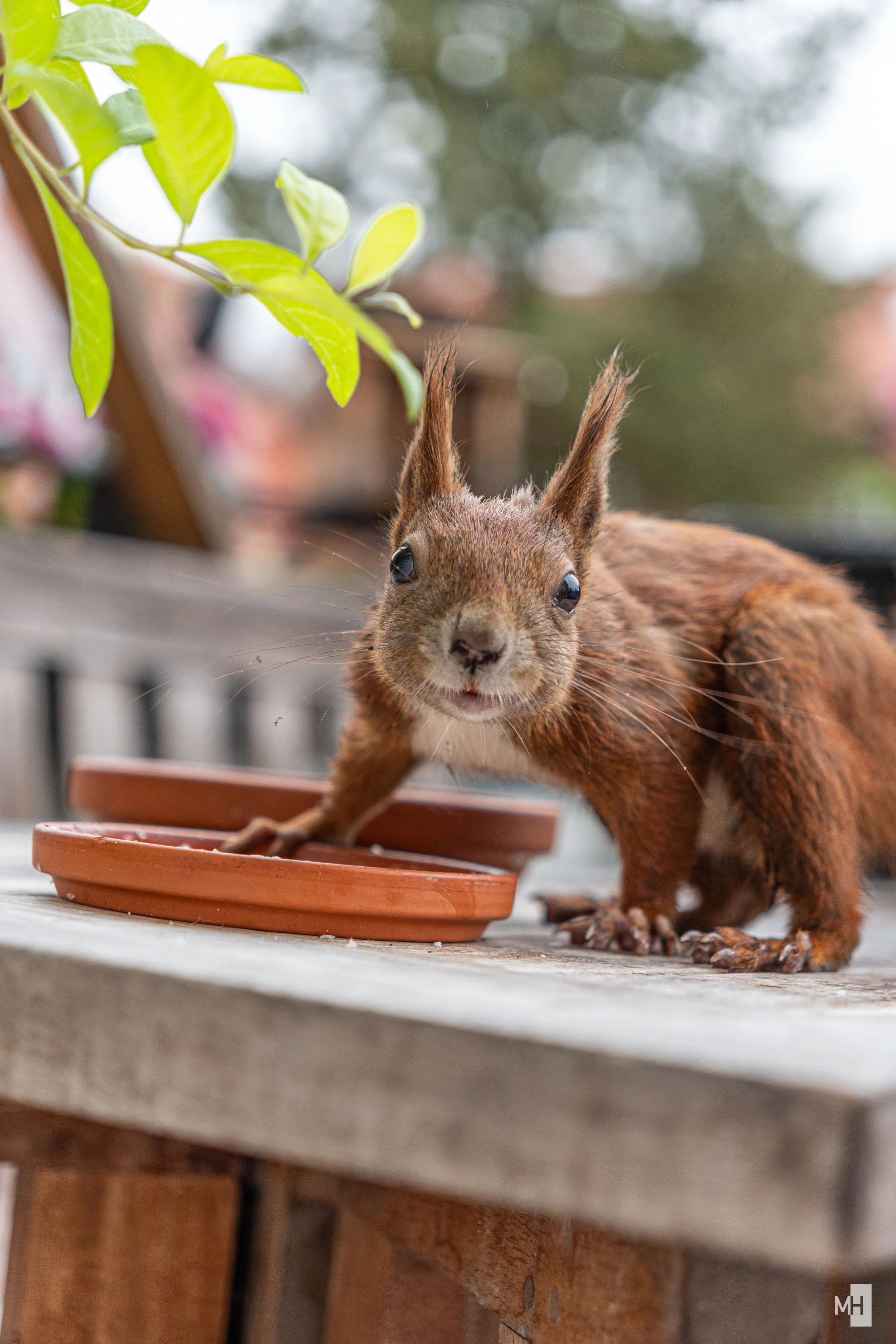 pixelgraphix-manuela-hoffmann-2025-oktober-12-33