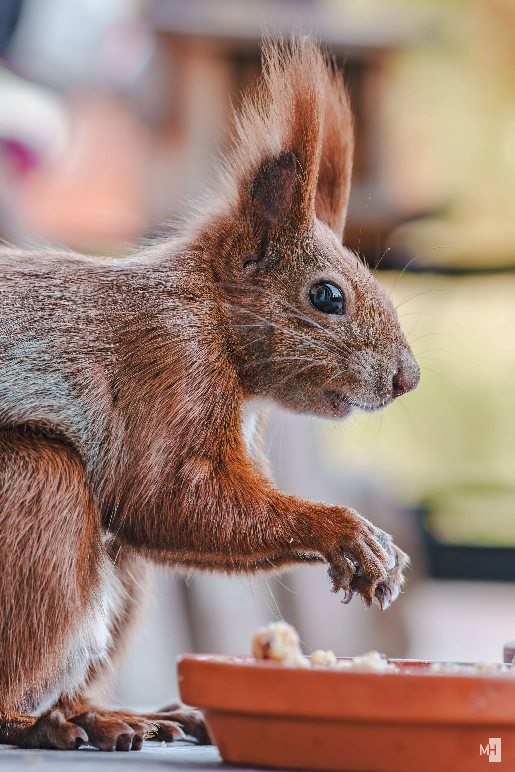 pixelgraphix-manuela-hoffmann-2025-november-04-22