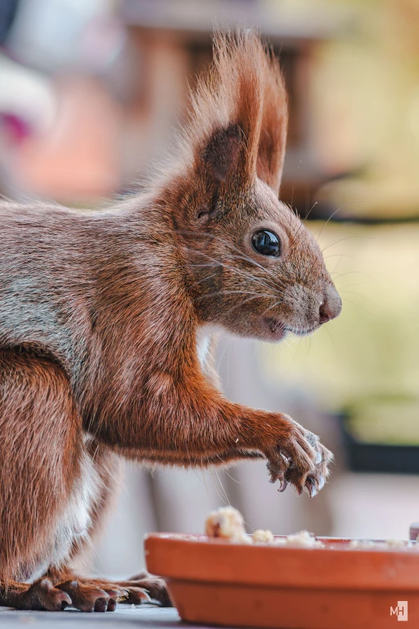 pixelgraphix-manuela-hoffmann-2025-november-04-22