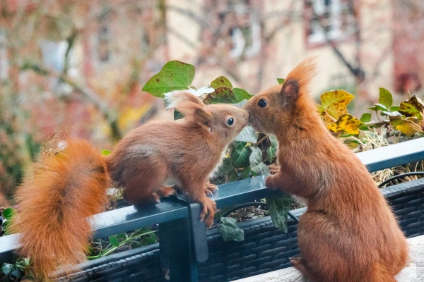 pixelgraphix-manuela-hoffmann-2025-april-07-04