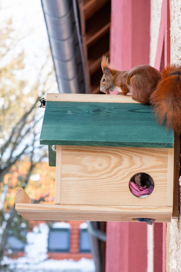 pixelgraphix-manuela-hoffmann-2025-februar-16-18