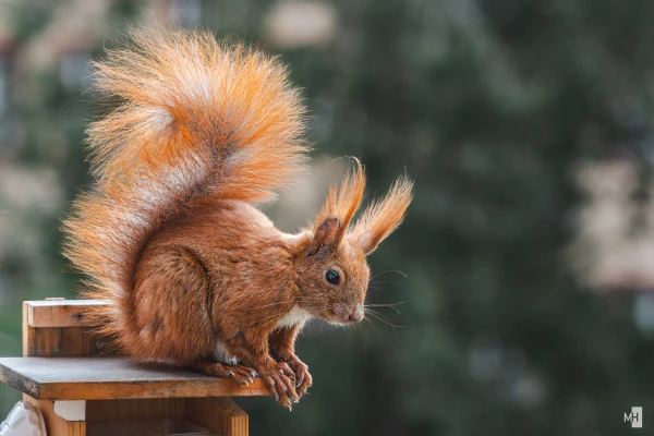 pixelgraphix-manuela-hoffmann-2025-mai-04-36