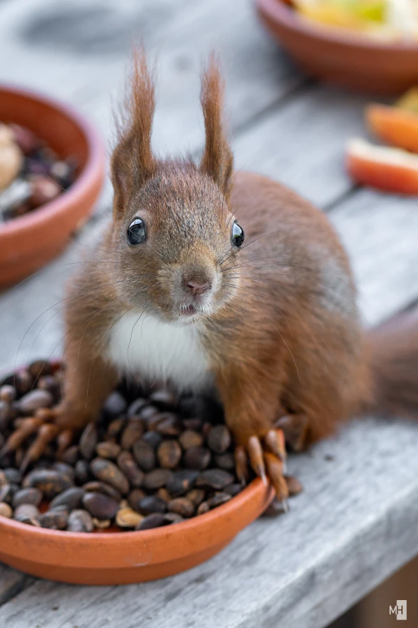 pixelgraphix-manuela-hoffmann-2025-mai-01-05