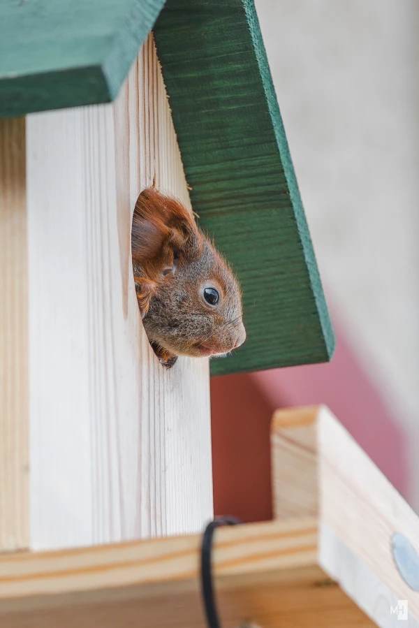 pixelgraphix-manuela-hoffmann-2025-marz-28-05