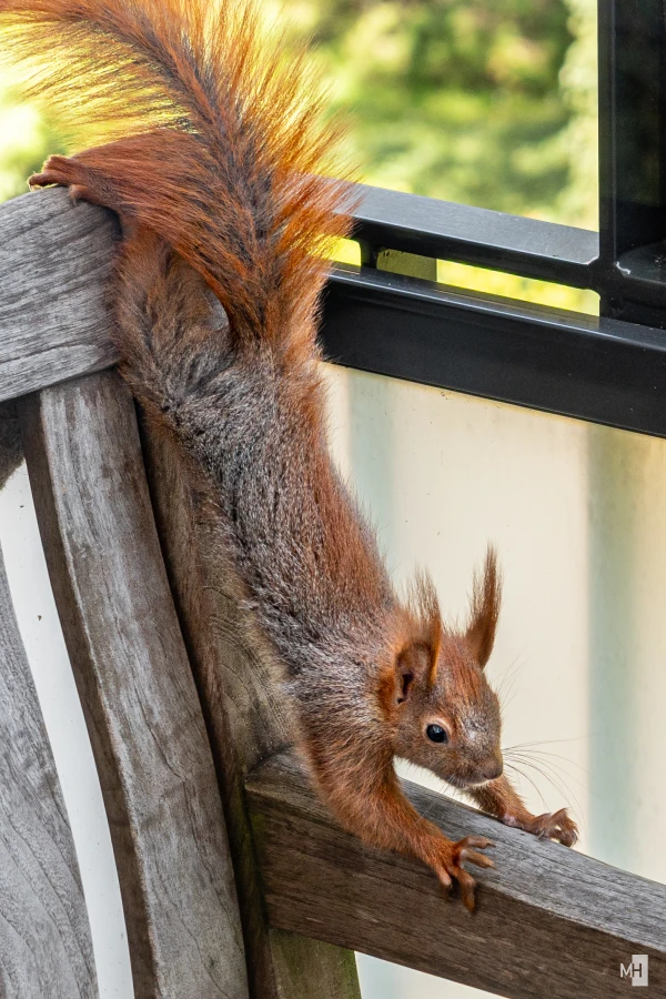 pixelgraphix-manuela-hoffmann-2025-april-25-04