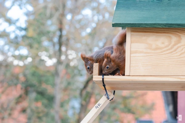 pixelgraphix-manuela-hoffmann-2025-april-01-39