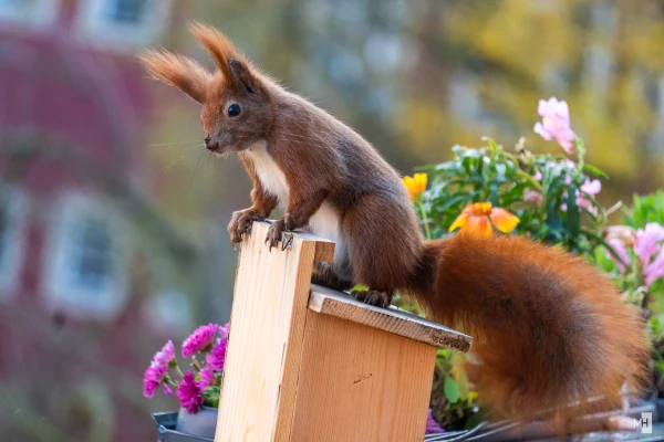 pixelgraphix-manuela-hoffmann-2024-november-21-41