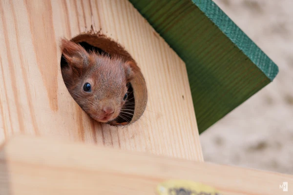 pixelgraphix-manuela-hoffmann-2025-marz-26-34