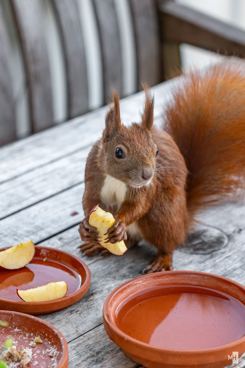 pixelgraphix-manuela-hoffmann-2025-oktober-06-58