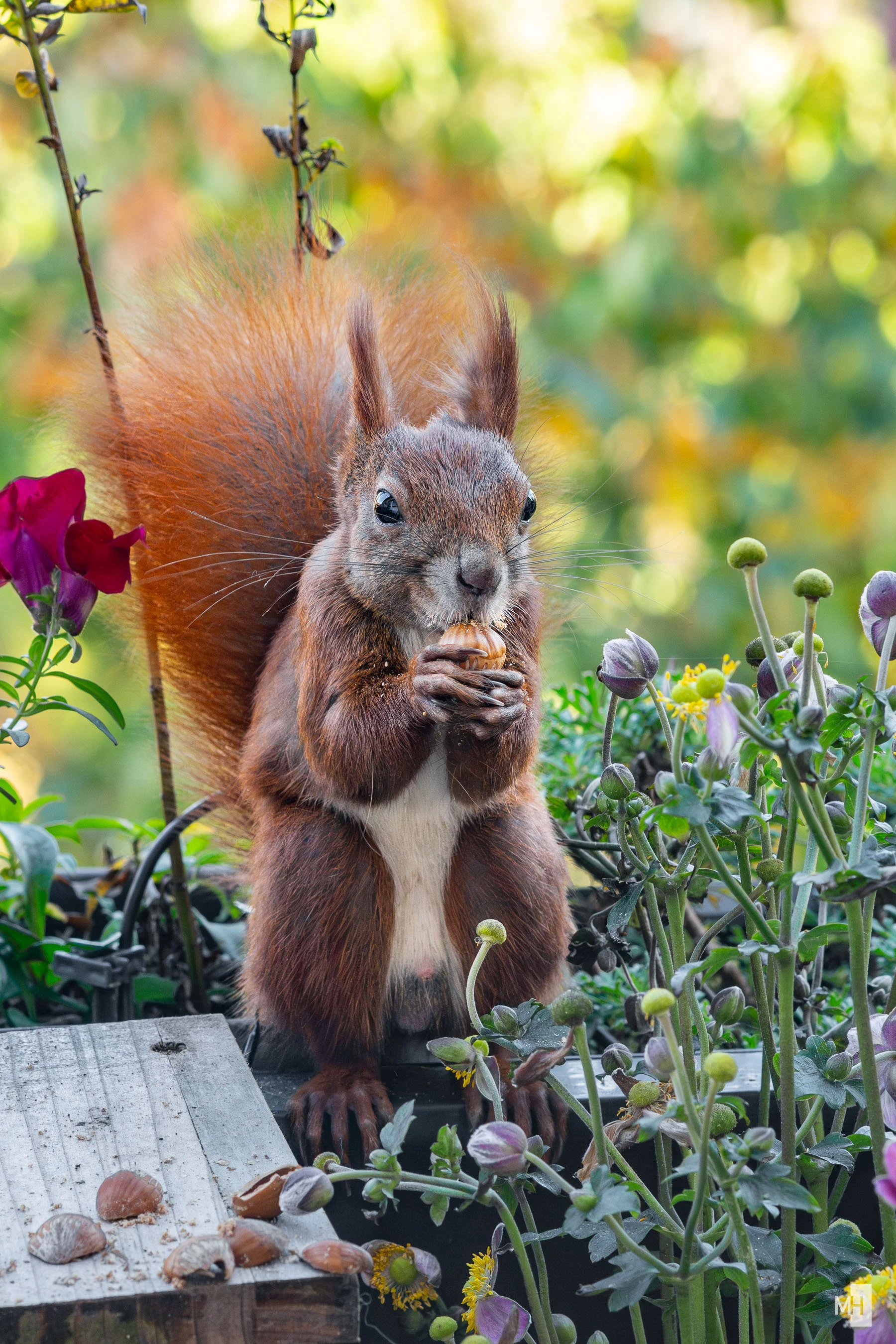 pixelgraphix-manuela-hoffmann-2025-oktober-13-12