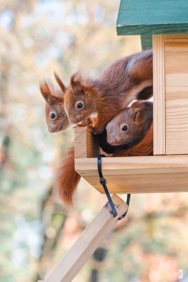 pixelgraphix-manuela-hoffmann-2025-april-01-30