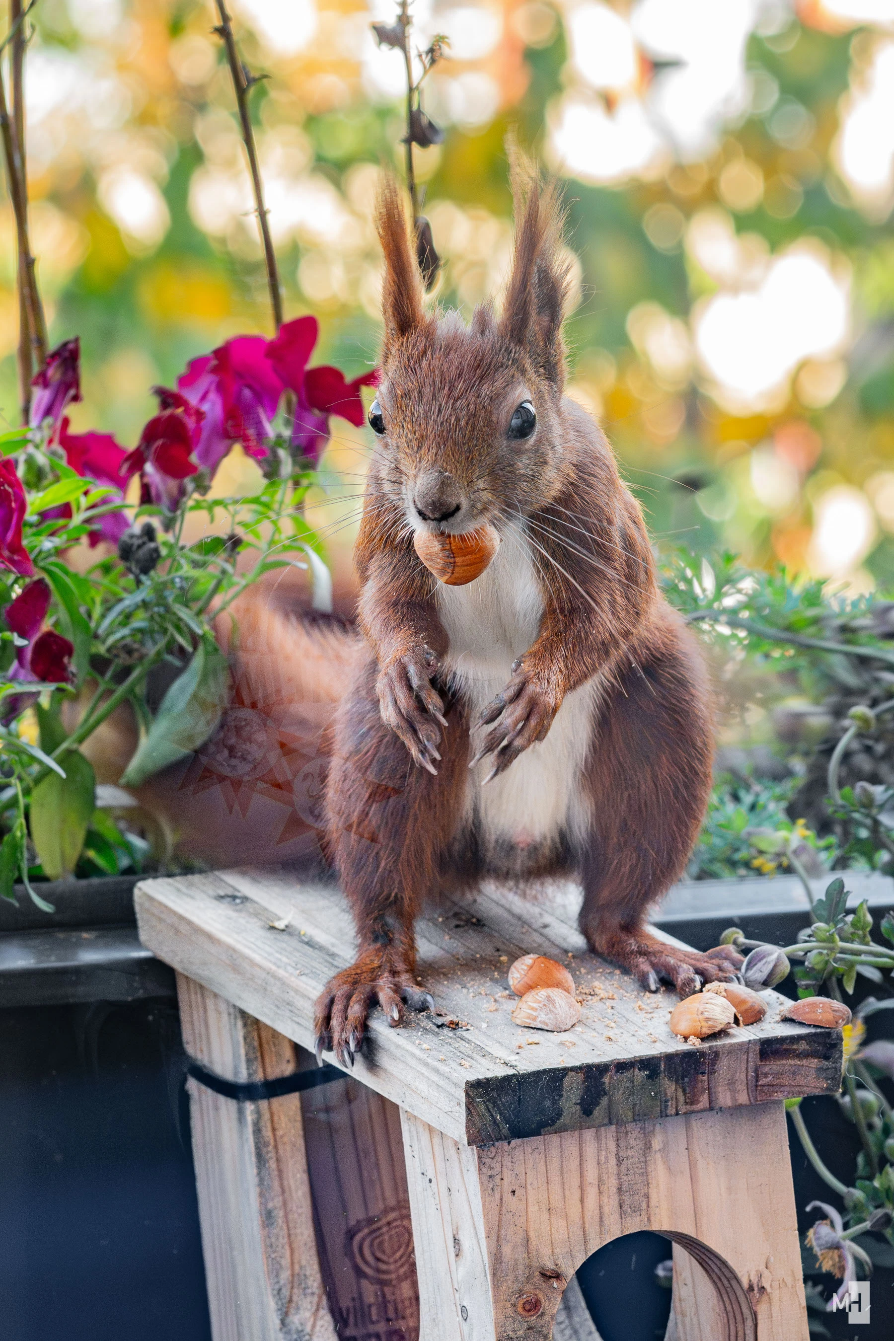 pixelgraphix-manuela-hoffmann-2025-oktober-13-24