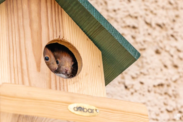 pixelgraphix-manuela-hoffmann-2025-marz-29-07