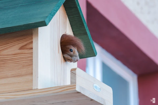 pixelgraphix-manuela-hoffmann-2025-februar-18-49