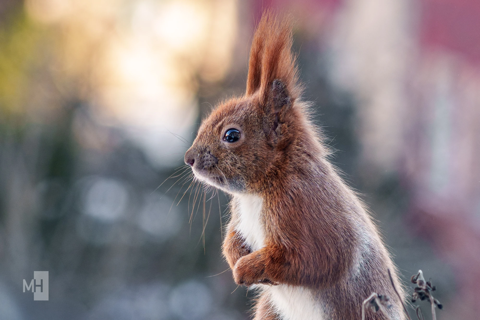 pixelgraphix-manuela-hoffmann-2026-januar-10-22