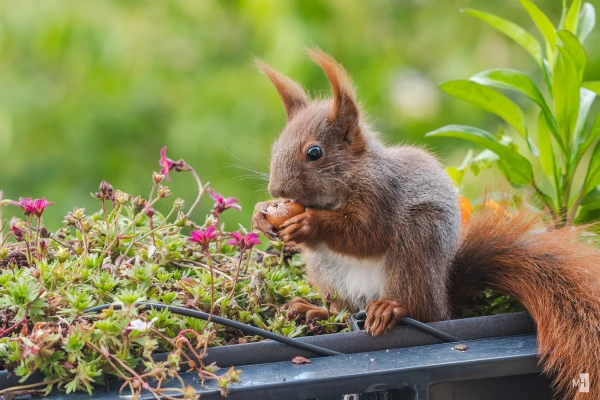 pixelgraphix-manuela-hoffmann-2025-mai-22-17