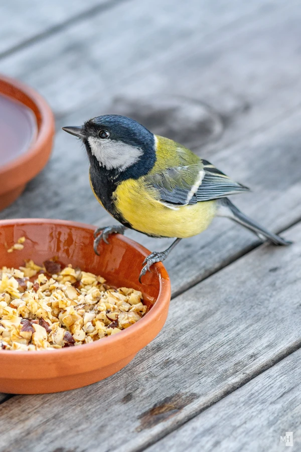 pixelgraphix-manuela-hoffmann-2025-oktober-20-33