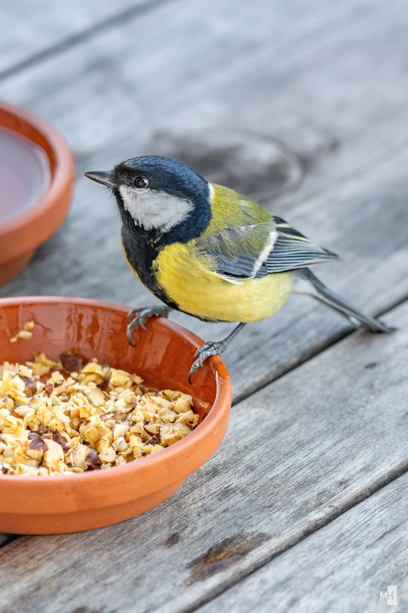 pixelgraphix-manuela-hoffmann-2025-oktober-20-33